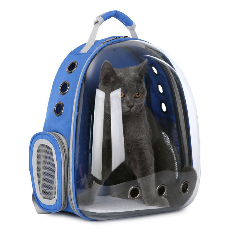 Transparent Backpack For Puppies