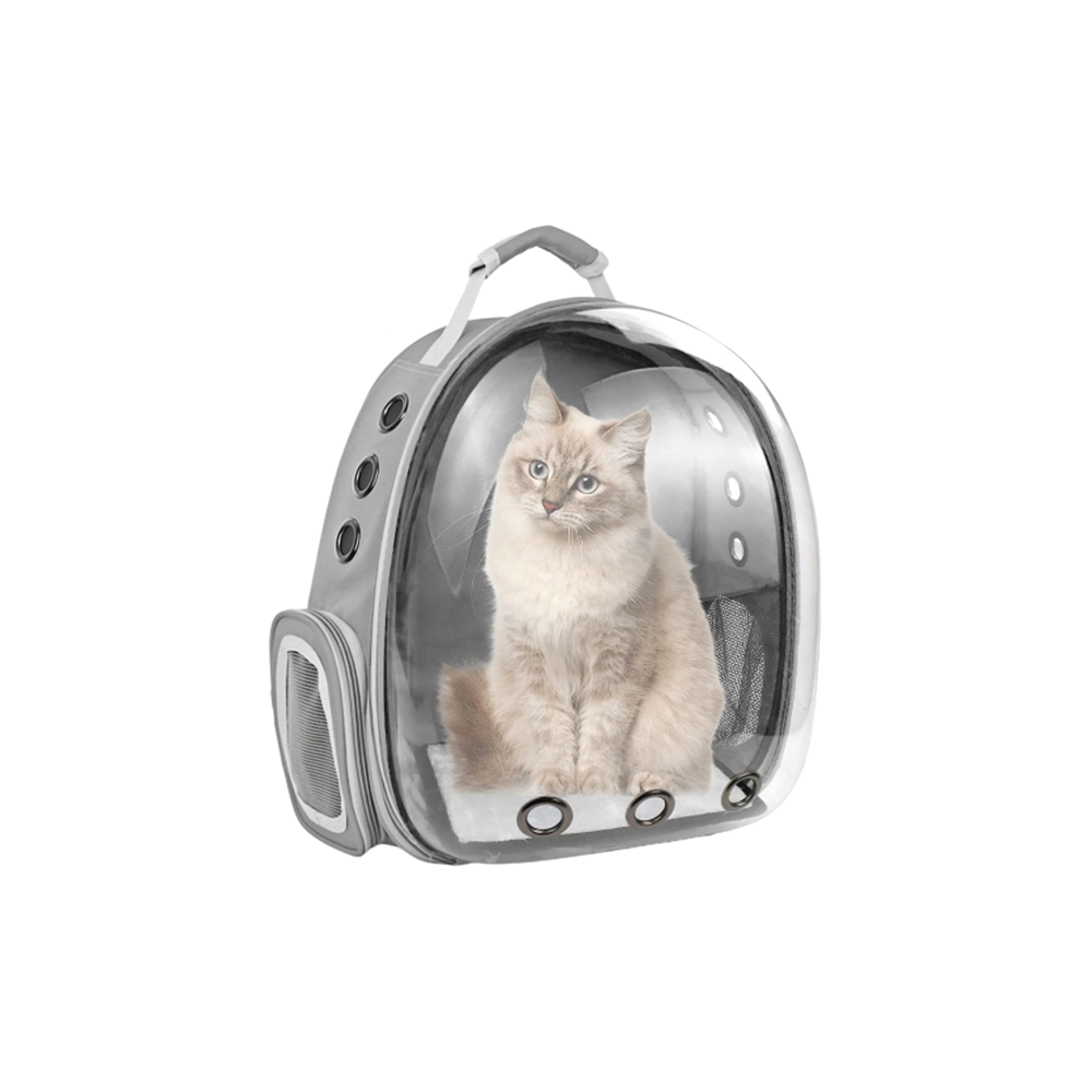 Transparent Backpack For Puppies